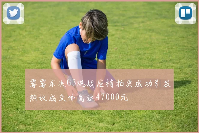 霉霉东决G3观战座椅拍卖成功引发热议成交价高达47000元