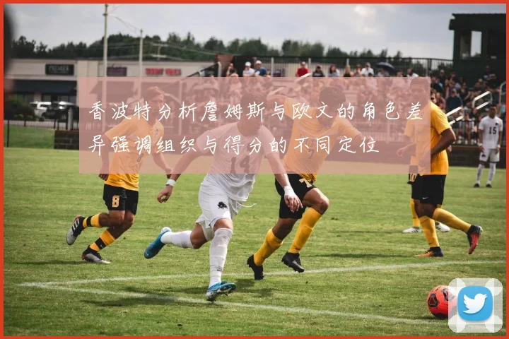 香波特分析詹姆斯与欧文的角色差异强调组织与得分的不同定位
