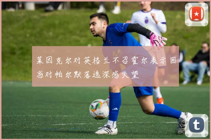 莱因克尔对英格兰不召霍尔表示困惑对帕尔默落选深感失望